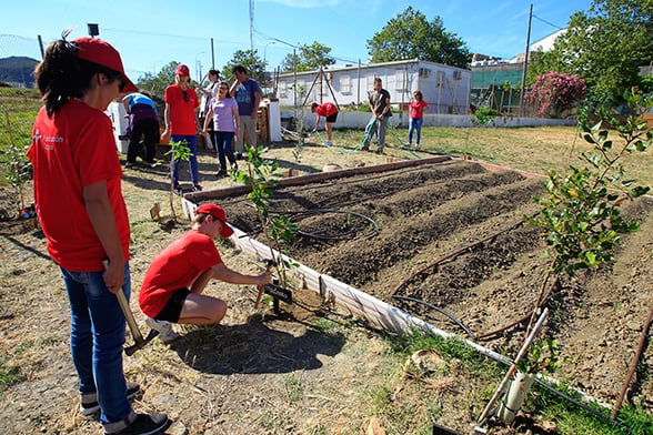 La Fundación Cepsa celebra con una jornada de voluntariado el Día Mundial del Medio Ambiente